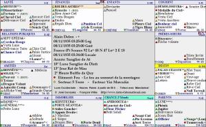 cliquez sur l'image pour agrandir