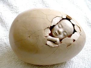 MICROCOSME_Rabia_Zaid