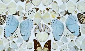Damien Hirst