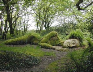 Lost gardens of Heligan, UK